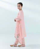 2 Piece - Embroidered Raw Silk Suit