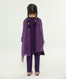 3 Piece - Embroidered Khaddi Net Suit