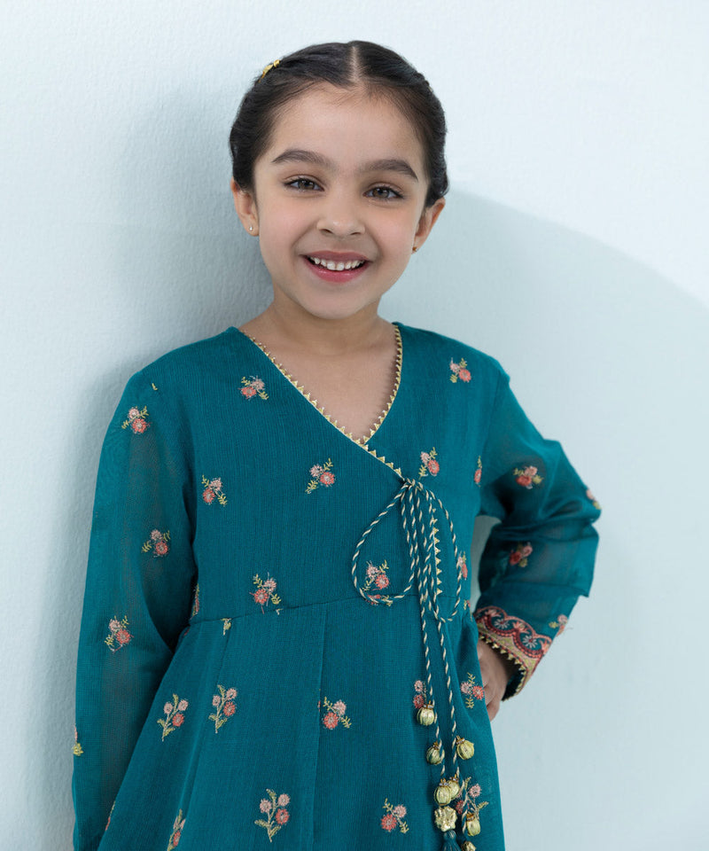 2 Piece - Embroidered Khaddi Net Suit