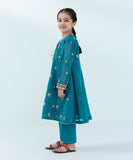 2 Piece - Embroidered Khaddi Net Suit