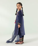 3 Piece - Embroidered Organza Suit