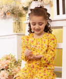 2 Piece - Embroidered Cambric Suit