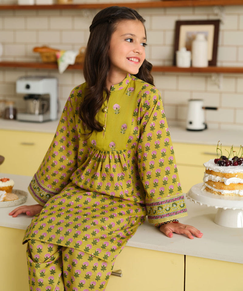 2 Piece - Embroidered Lawn Suit