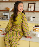 2 Piece - Embroidered Lawn Suit