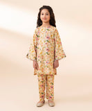 2 Piece - Embroidered Lawn Suit