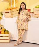 2 Piece - Embroidered Lawn Suit