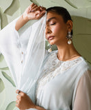 2 Piece - Embroidered Chiffon Suit