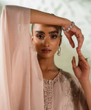 2 Piece - Embroidered Chiffon Suit