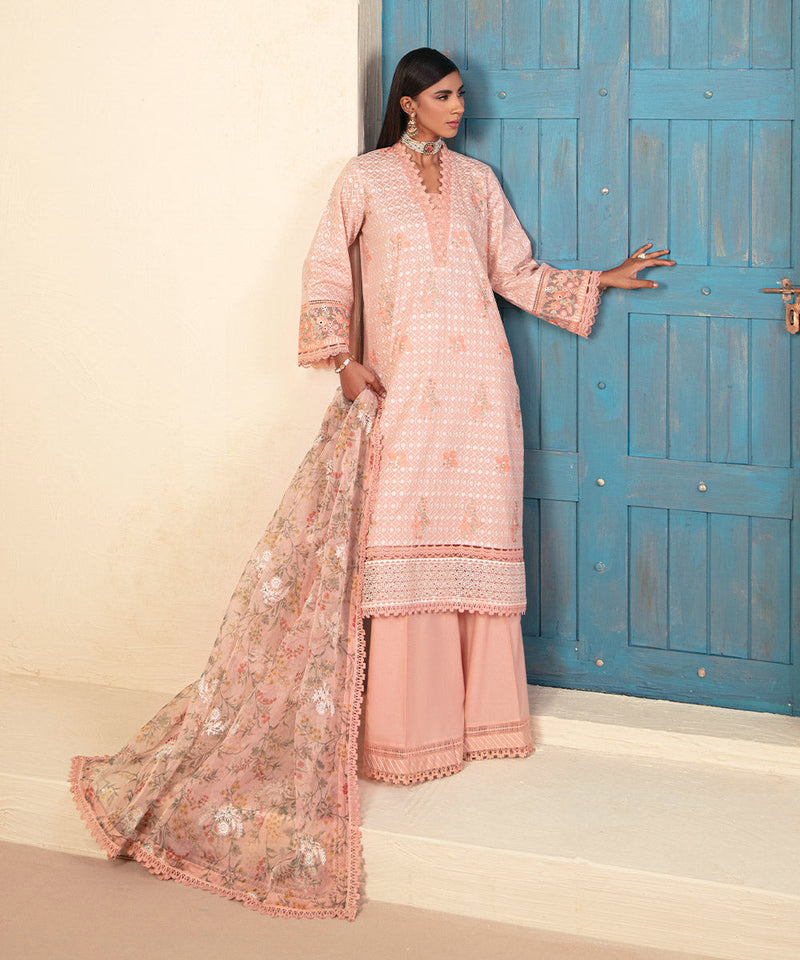 Embroidered Organza Dupatta