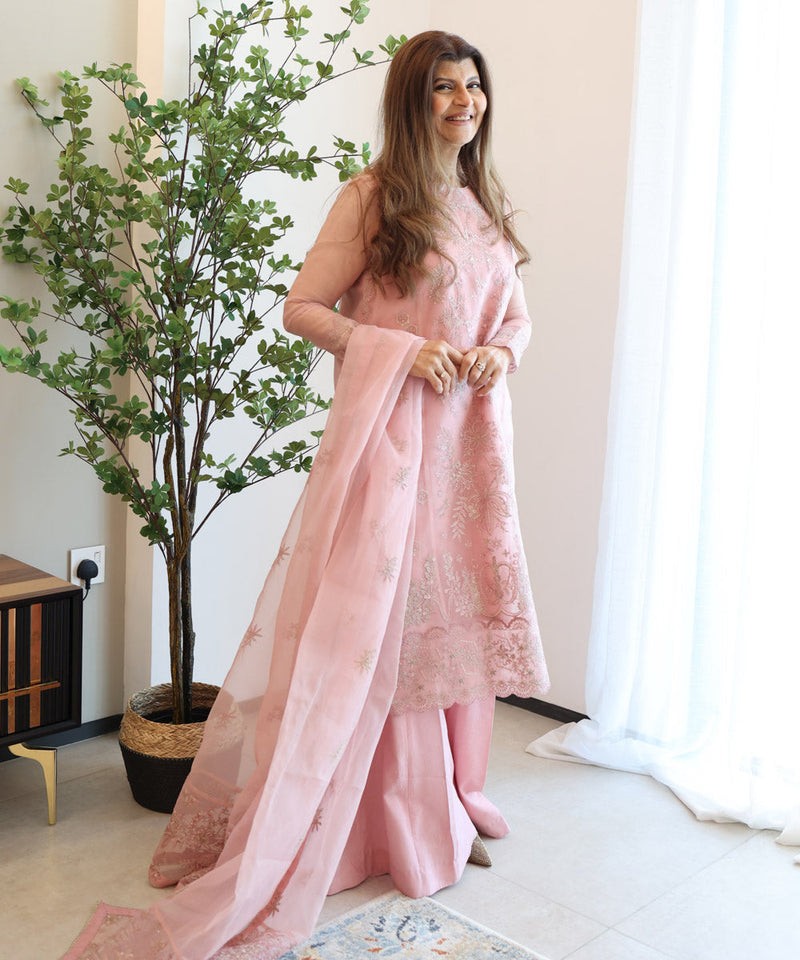 3 Piece - Embroidered Organza Suit