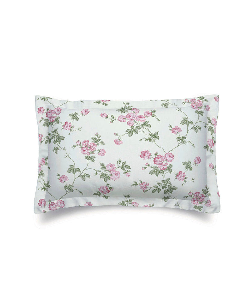 Ivory Rose - Standard Sham