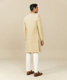 Embroidered Jamawar Sherwani