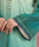 2 Piece - Embroidered Masoori Net Suit