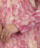 2 Piece - Embroidered Masoori Net Suit