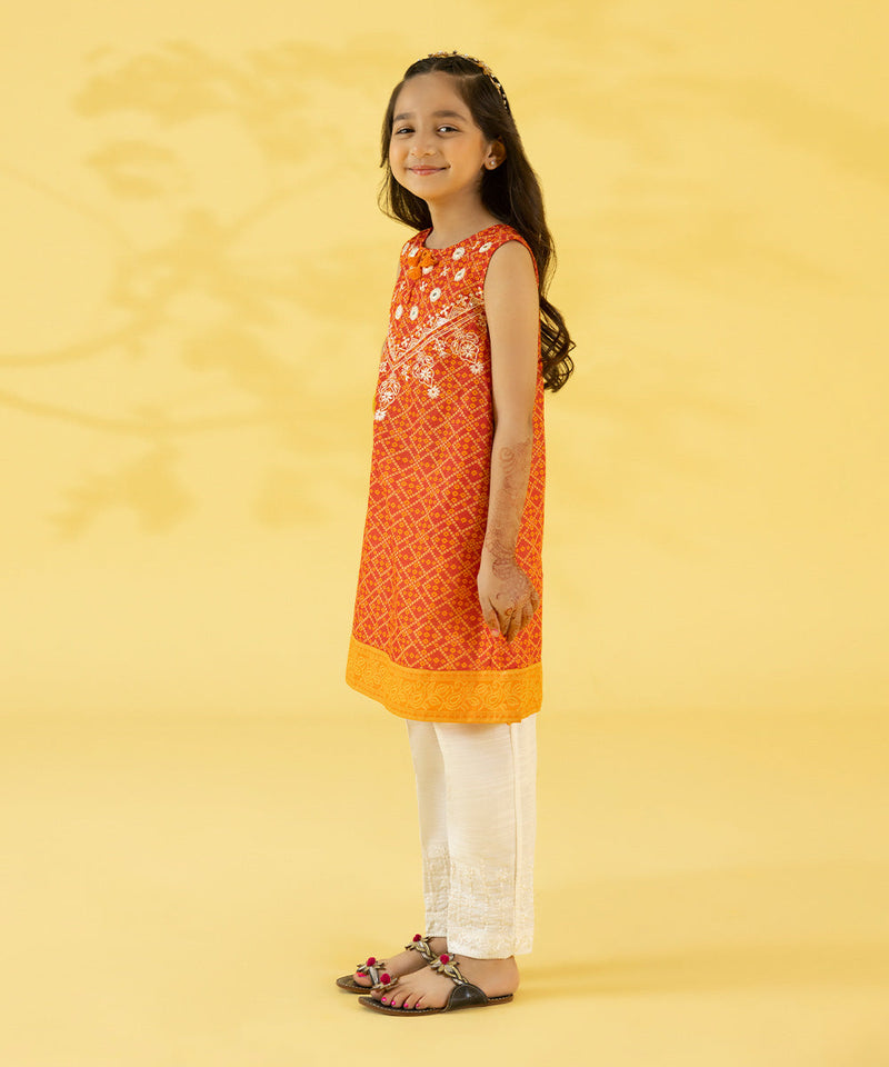 Embroidered Zari Lawn Shirt