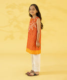 Embroidered Zari Lawn Shirt