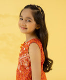 Embroidered Zari Lawn Shirt