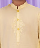 Embroidered Dobby Kurta
