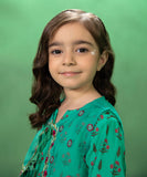 2 Piece - Embroidered Lawn Suit