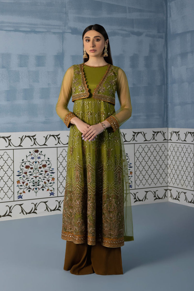 Embroidered Net Pishwas