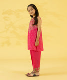 2 Piece - Embroidered Zari Lawn Suit