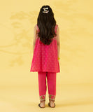 2 Piece - Embroidered Zari Lawn Suit