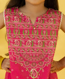 2 Piece - Embroidered Zari Lawn Suit