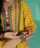 2 Piece - Embroidered Zari Lawn Suit