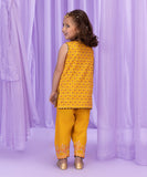 2 Piece - Embroidered Cambric Suit