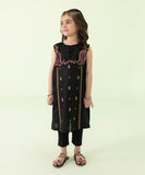 2 Piece - Embroidered Lawn Suit