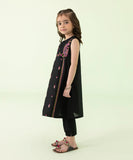 2 Piece - Embroidered Lawn Suit