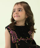 2 Piece - Embroidered Lawn Suit