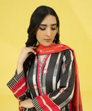 2 Piece - Printed Lawn Suit