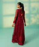 Embroidered Organza Peshwas