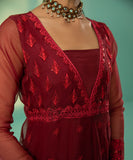 Embroidered Organza Peshwas