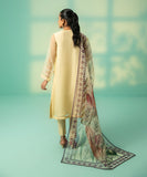 3 Piece - Embroidered Organza Suit