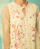 3 Piece - Embroidered Organza Suit