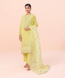 3 Piece - Embroidered Karandi Suit