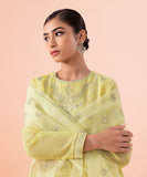 3 Piece - Embroidered Karandi Suit