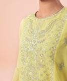 3 Piece - Embroidered Karandi Suit