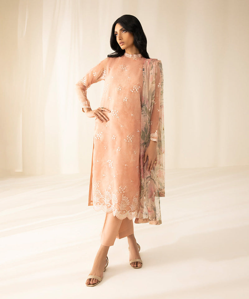 2 Piece - Embroidered Organza Suit