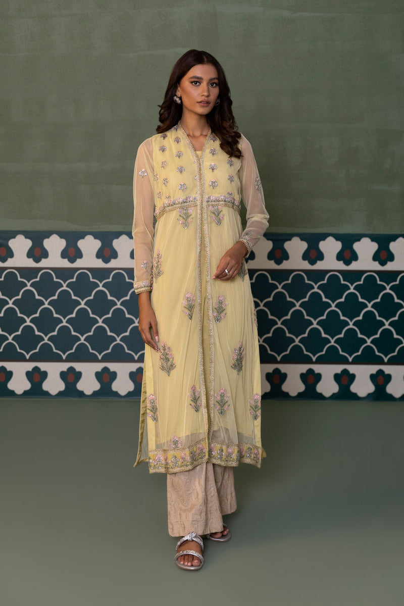 Embroidered Net Pishwas