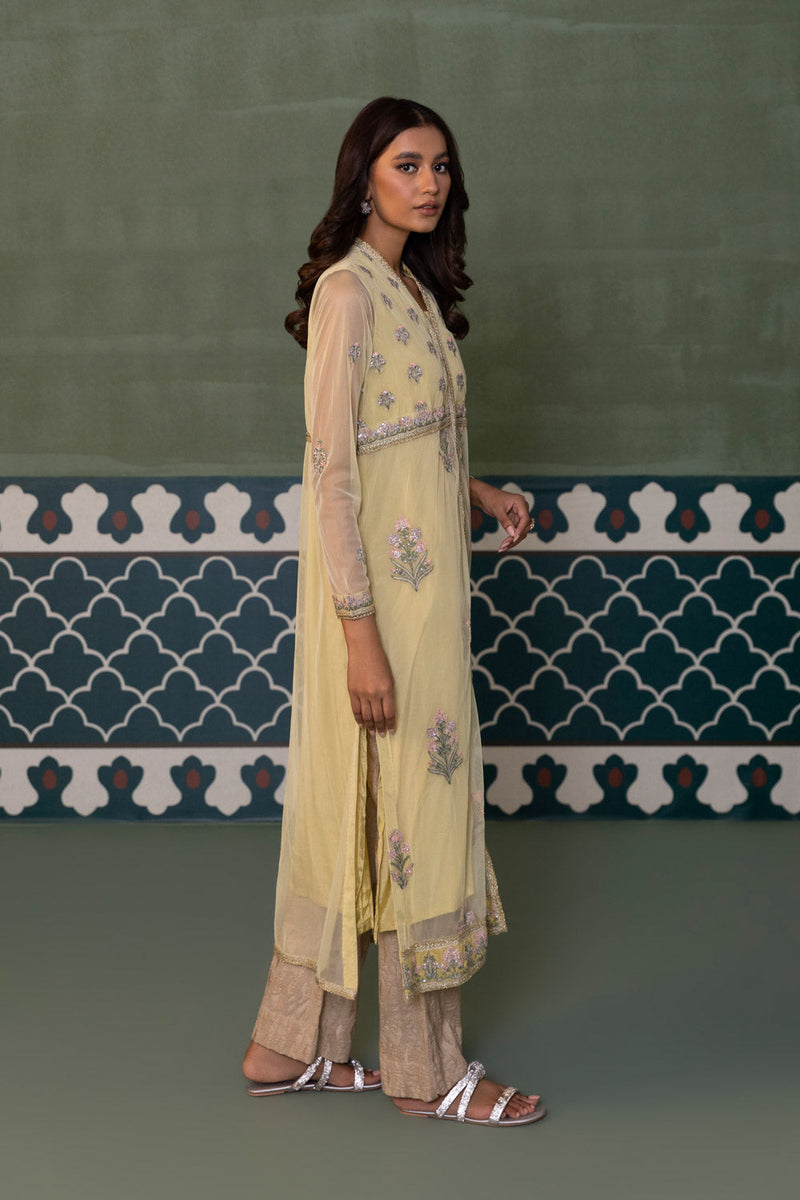 Embroidered Net Pishwas