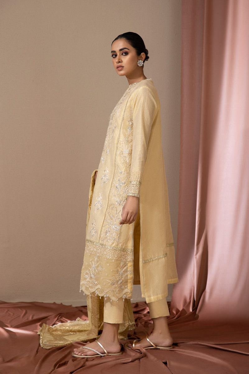 2 Piece - Embroidered Masoori Suit