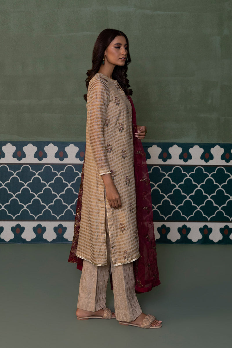2 Piece - Embroidered Zari Net Suit