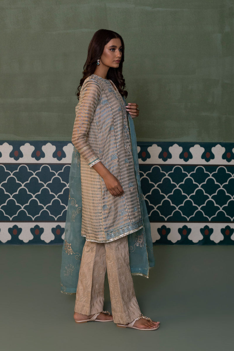 2 Piece - Embroidered Zari Net Suit