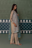 2 Piece - Embroidered Zari Net Suit