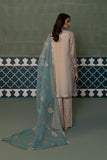2 Piece - Embroidered Zari Net Suit