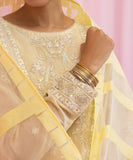 2 Piece - Embroidered Karandi Suit