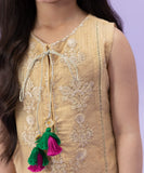 Embroidered Zari Organza Shirt